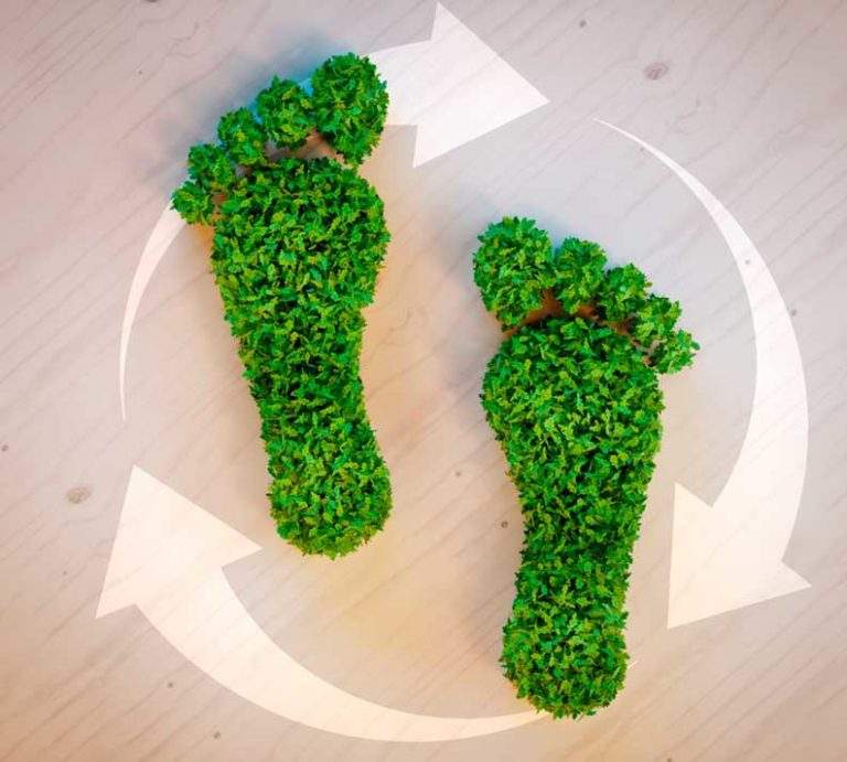 pegada ecológica
